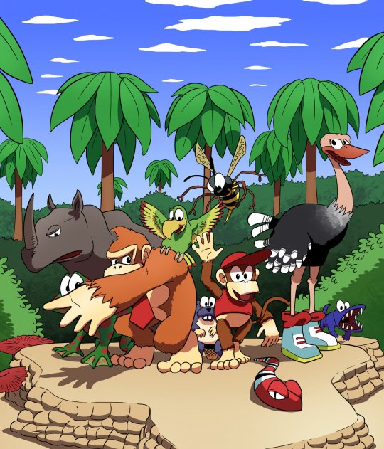 Donkey Kong Country